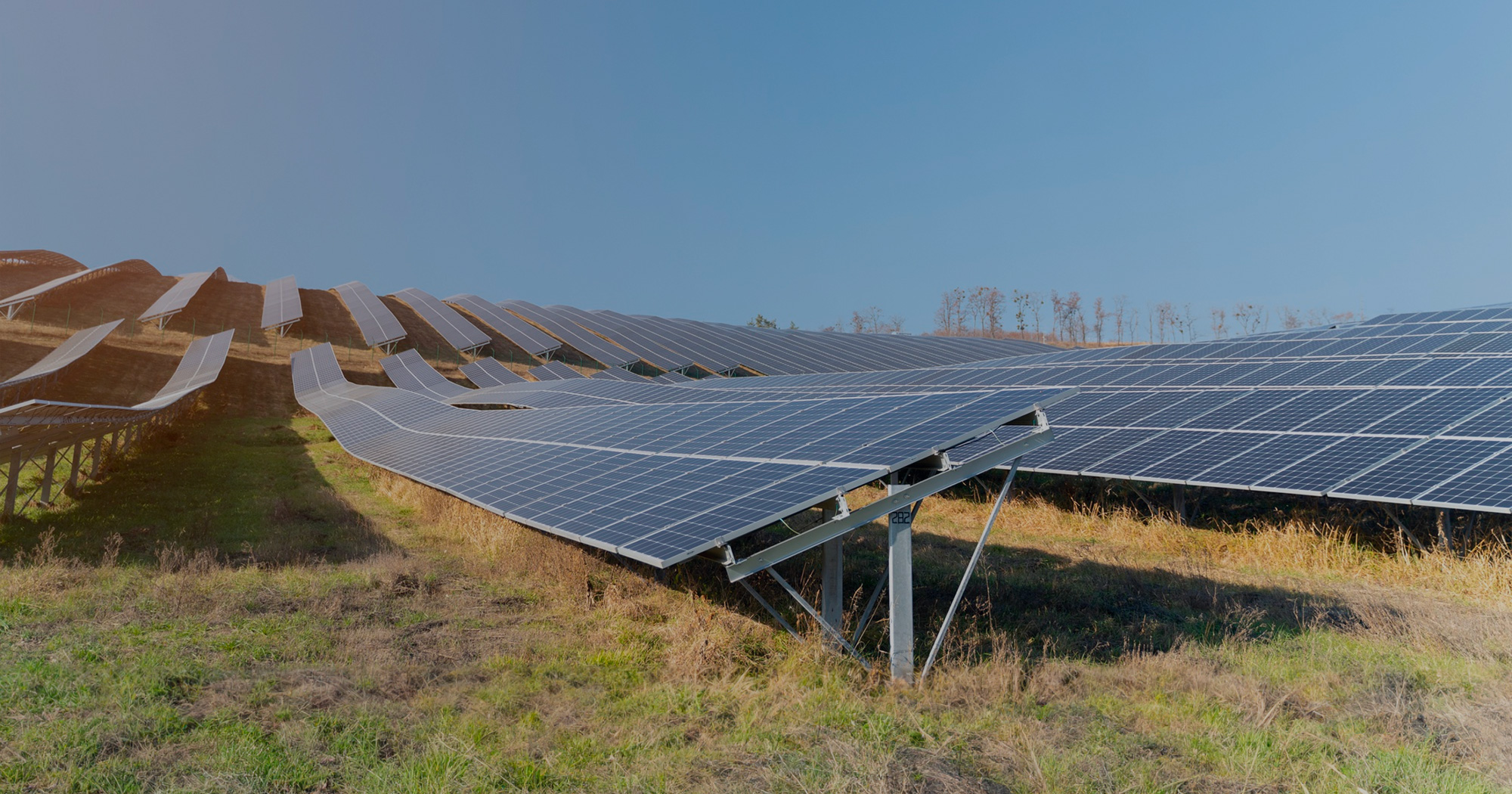 Rows of solar panels under a clear blue sky